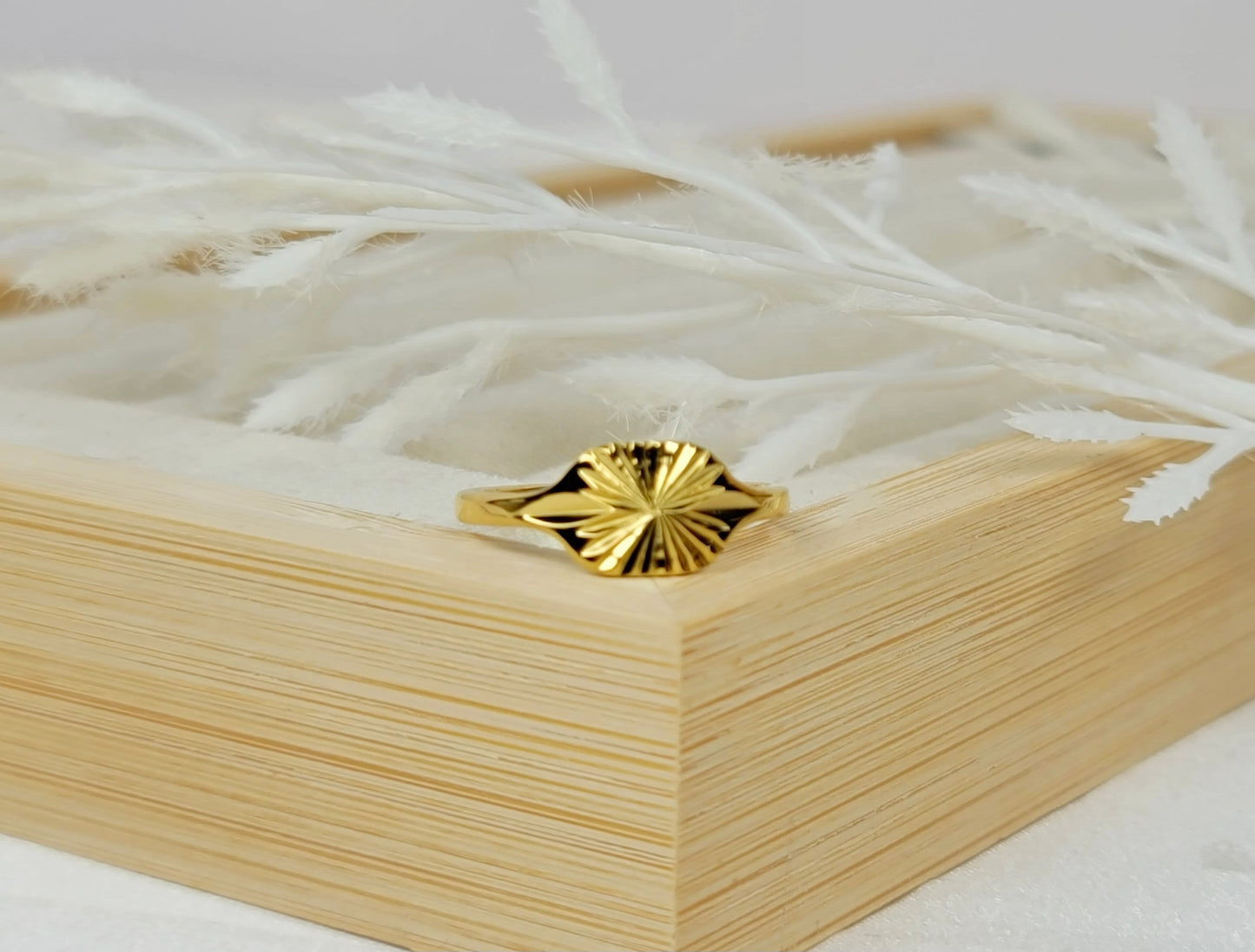 Disc Ring