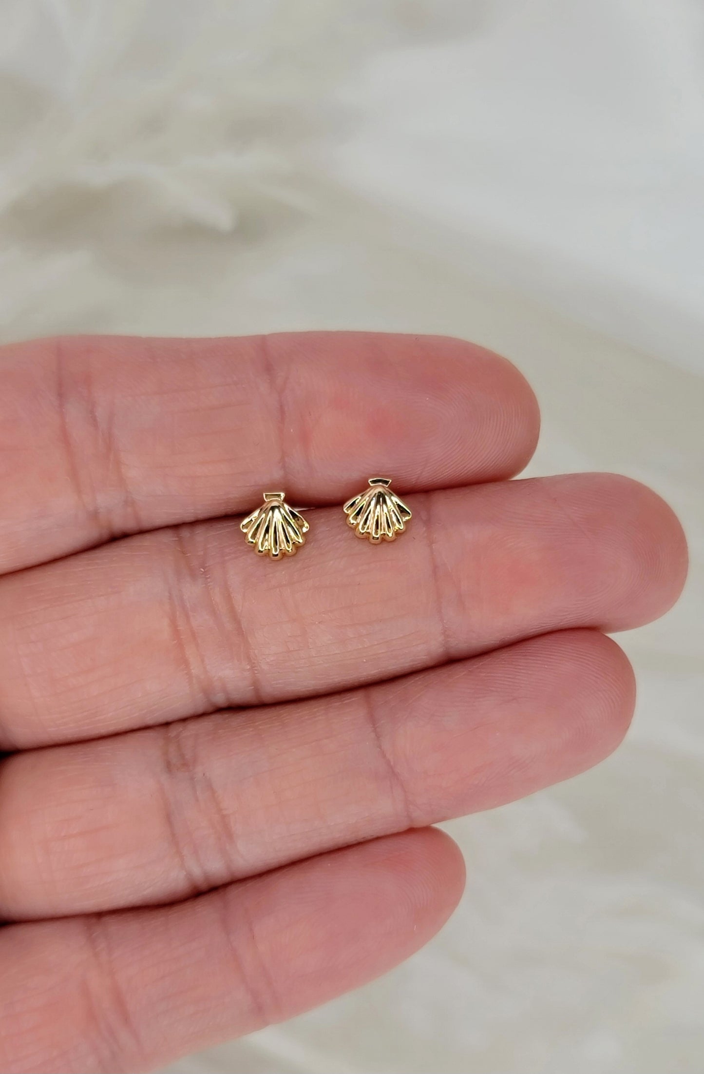 Mini Sea Shell Studs