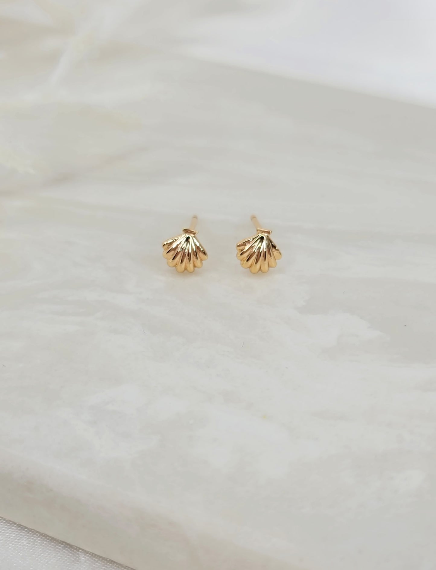 Mini Sea Shell Studs